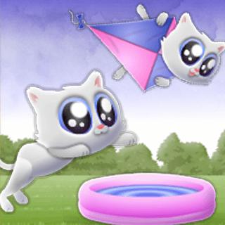 Extreme Kitten — cover