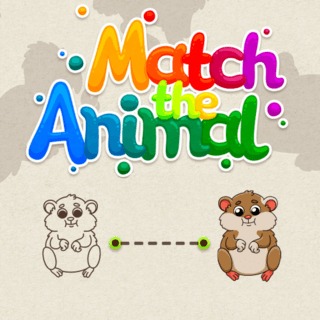 Match The Animal — cover